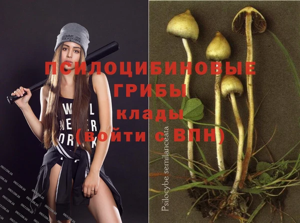 амфетамин Богородск