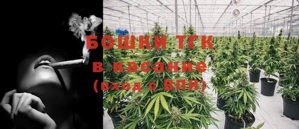бошки Богданович