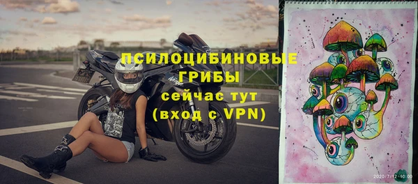 бошки Богданович