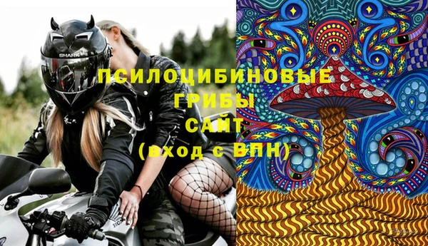 бошки Богданович